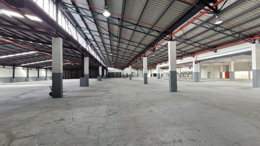 To Let commercial Property for Rent in Epping Industrial Western Cape